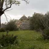 Scarpiniamo ancora pi� in alto e mentre ci guardiamo attorno, perdendo lo sguardo nella fitta vegetazione, la nostra attenzione viene colpita dalla punta di un vero e proprio trullo, per molta parte crollato e inagibile